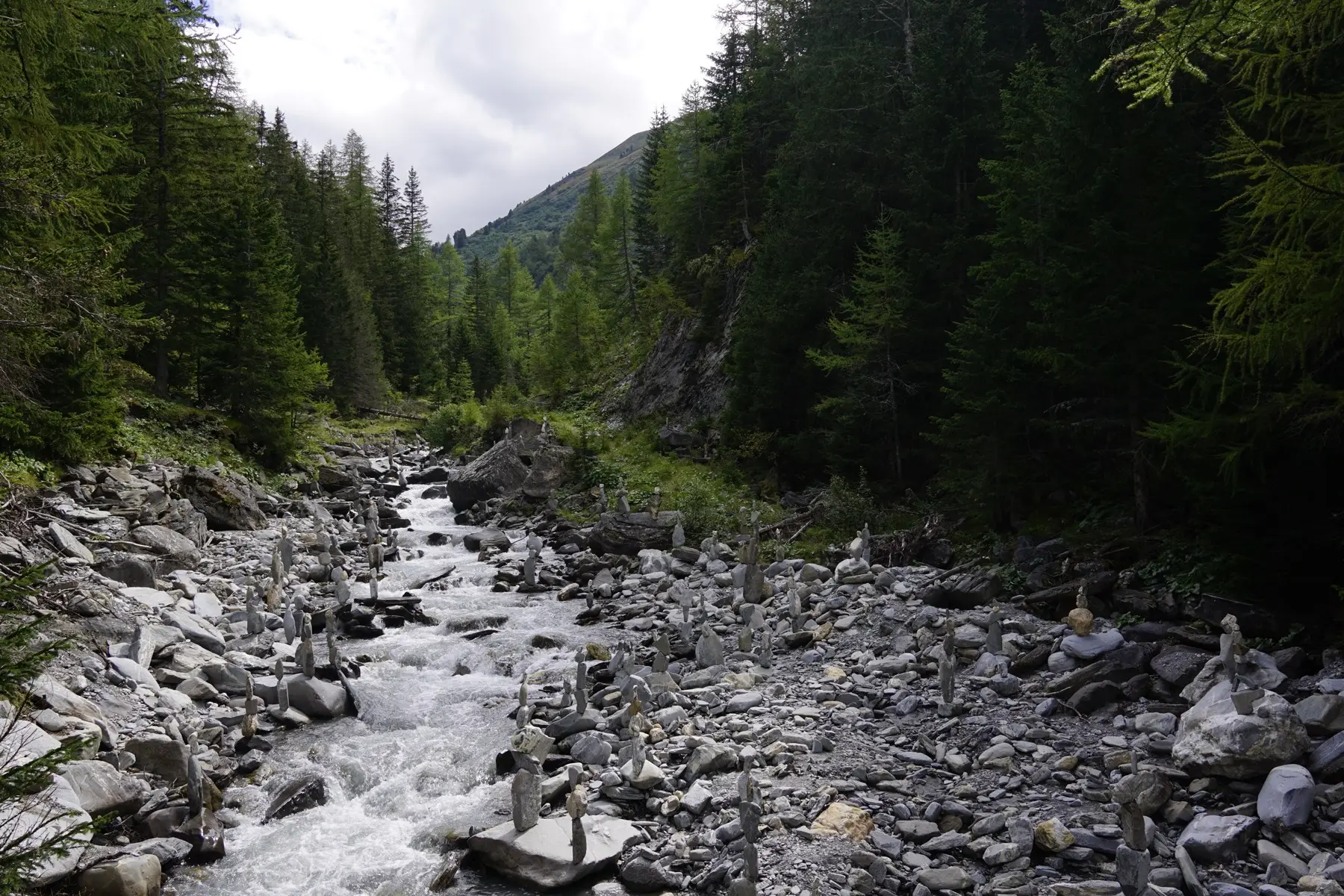 raging water in the forest