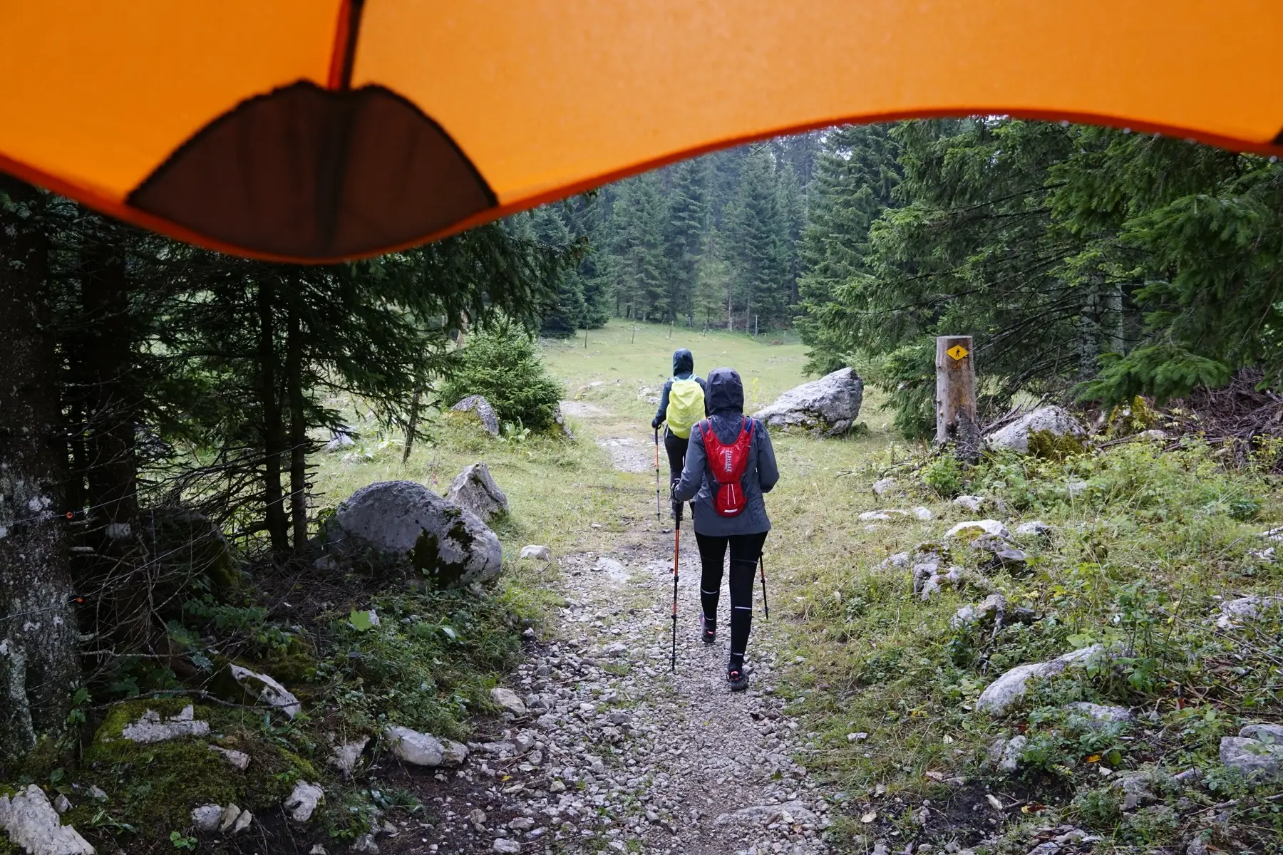 hiking under the rain